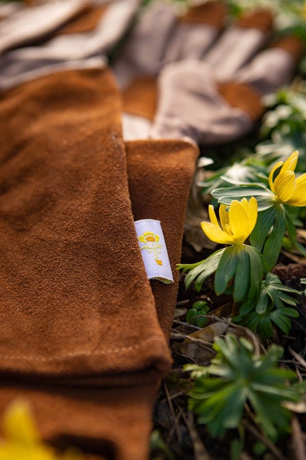 Rosenhandske "Rosie Mocca" - Blomsterverden